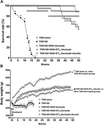 Renoprotection Provided by Additional Diuretic Treatment in Partially Nephrectomized Ren-2 Transgenic Rats Subjected to the Combined RAS and ETA Blockade